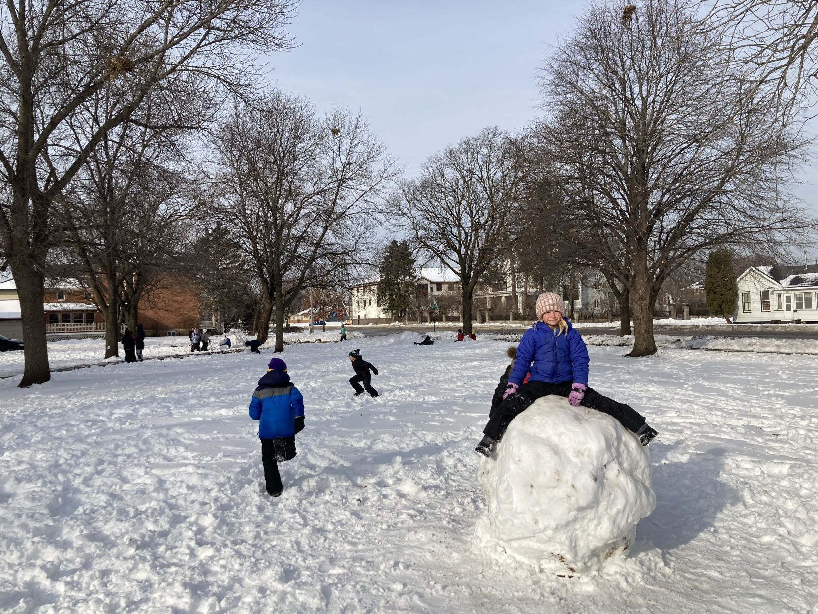 Winter in the park